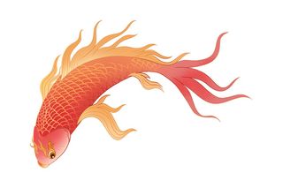 手绘烫金国潮中国风卡通锦鲤鱼金鱼插画装饰元素PSD设计素材