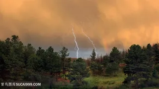 草地树林唯美壁纸