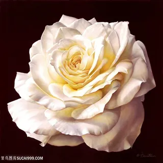 高清乡村花卉唯美花朵装饰画