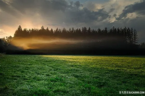 晨雾原野图片