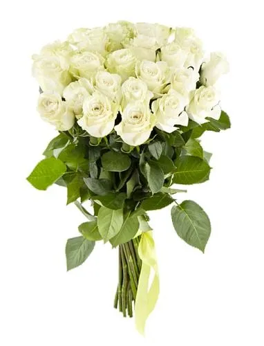花束 PNG免抠(382x500)