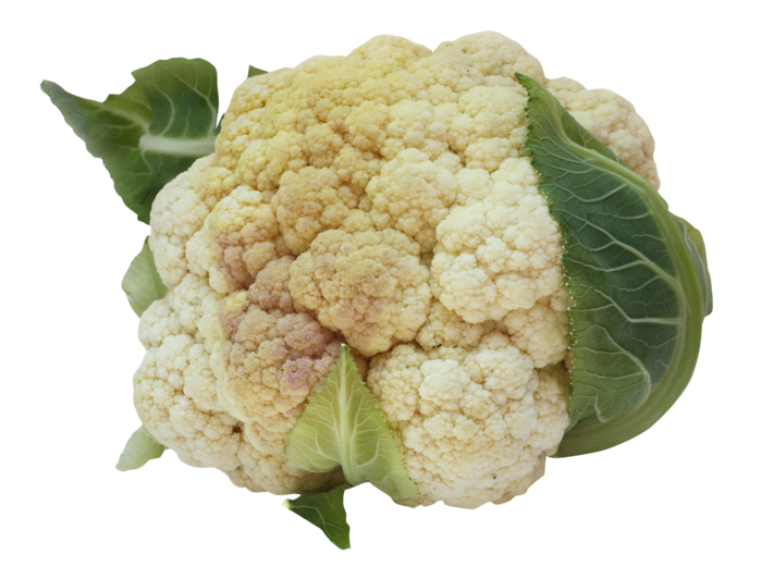 花心菜白心菜
