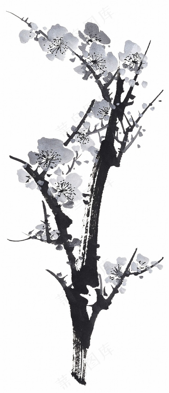 魅力水墨梅花图片素材