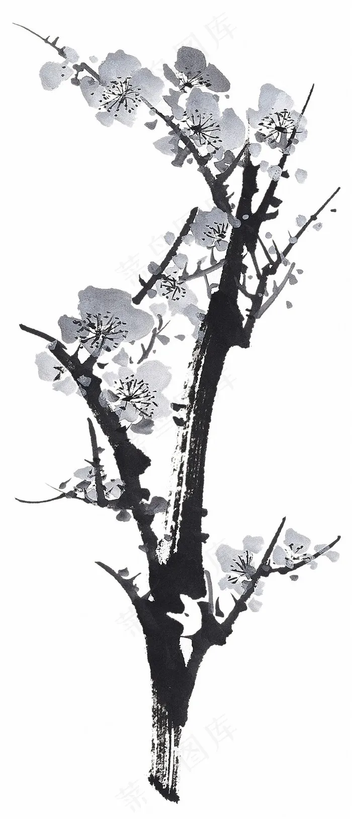 魅力水墨梅花图片素材