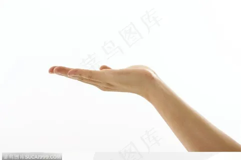 手势喻意-右手展示他物 手势喻意-右手展示他物