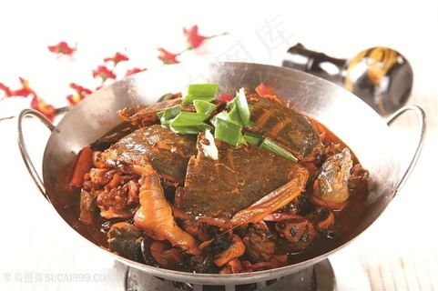 中华美食干锅乌鸡烧甲鱼摄影图