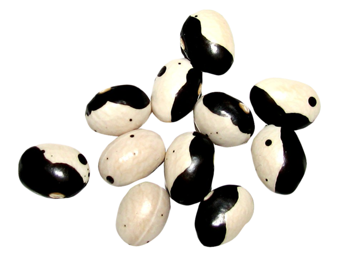 阴阳豆蔬菜