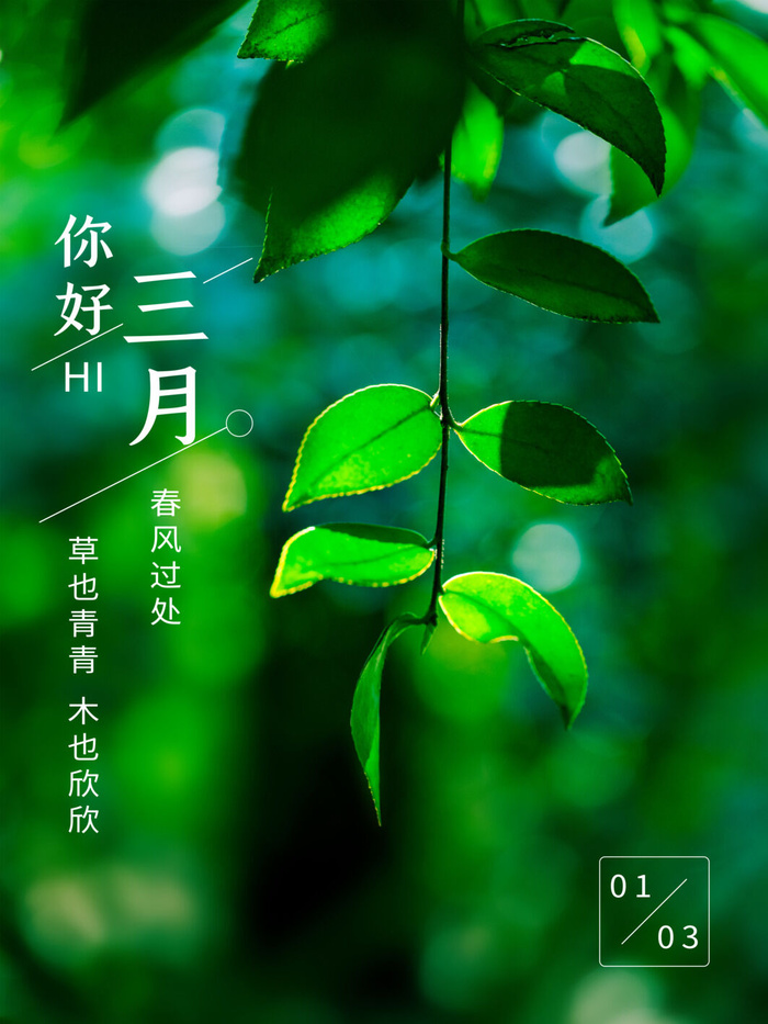 小清新简约风三月你好春天公益插画海报模板PSD分层设计素材