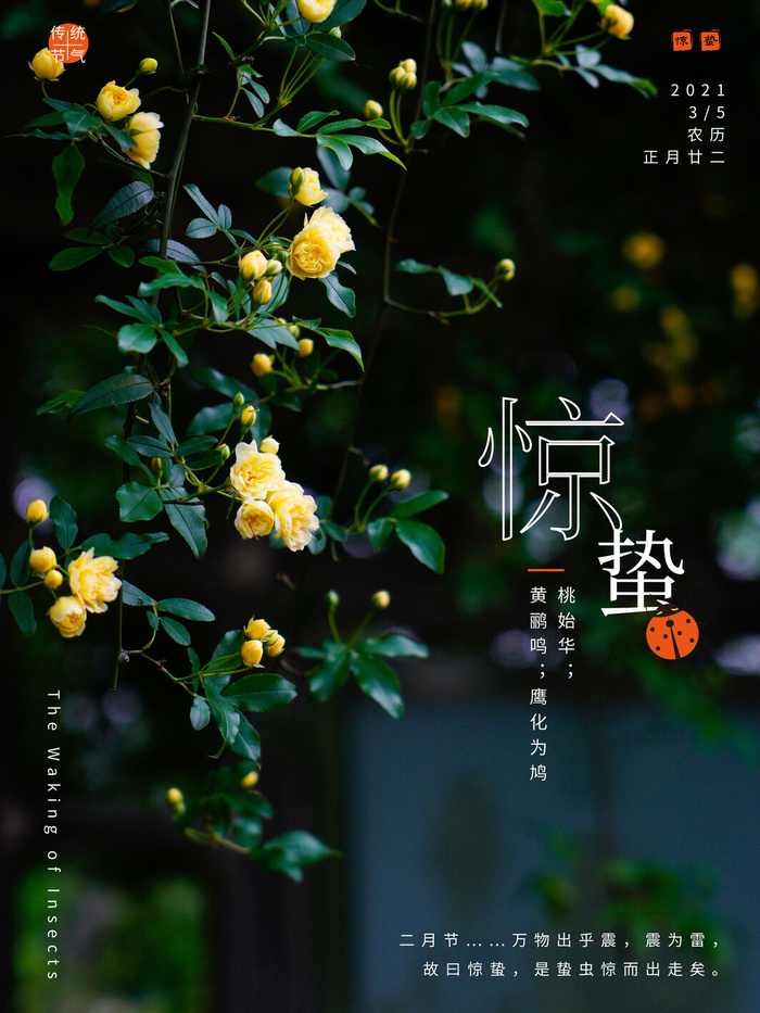 24二十四节气中国风创意惊蛰节日宣传海报模板PSD设计素材