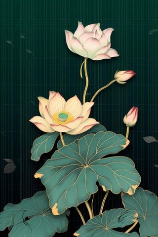 绿色简约清新莲花节气背景