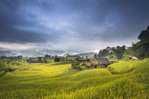 秋季田园风光 秋季田园风光