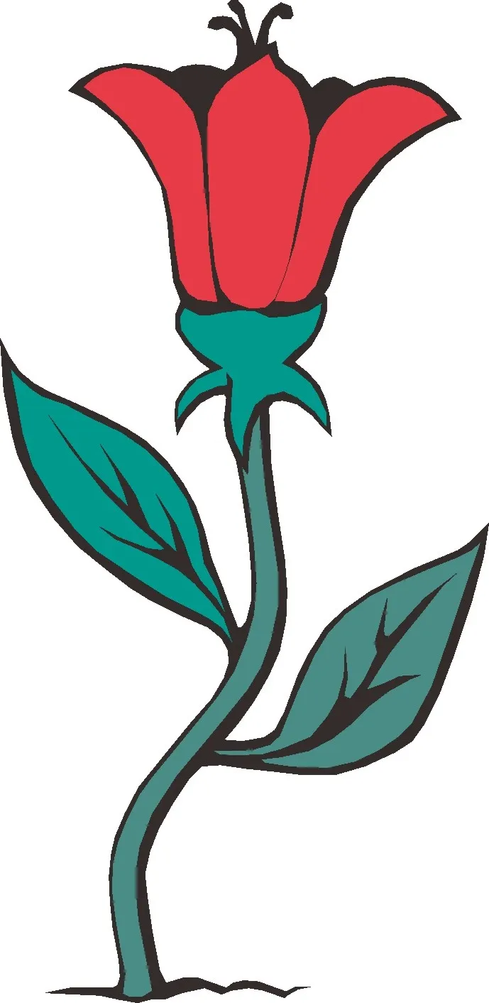 卡通动漫动画鲜花花草玫瑰花手绘海报名片免扣图片素材矢量图cdr矢量模版下载