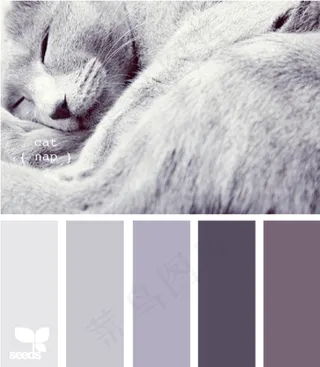 动物配色色卡色彩搭配