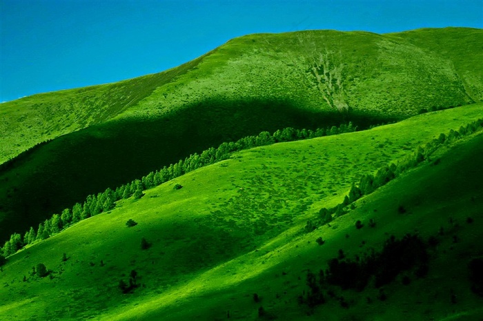 植被丰富茂盛的大山