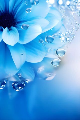 清新露珠蓝白色背景