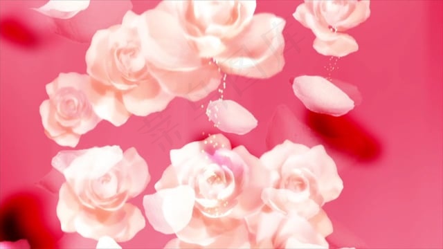 玫瑰, 花, 爱, 婚礼, 庆典, 背景