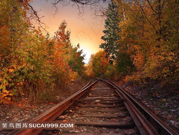 向远方延伸的铁轨