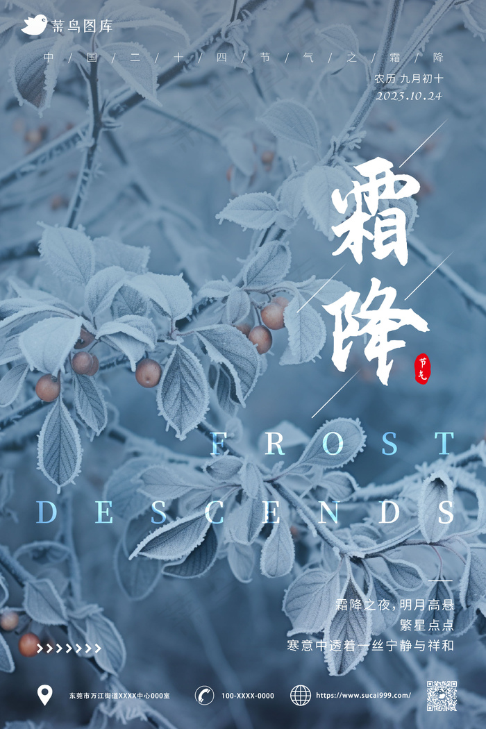 结霜 树叶 简约风 霜降海报ai矢量模版下载