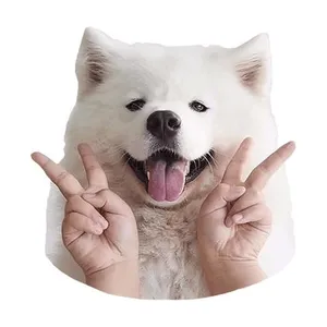 萨摩耶 PNG免抠