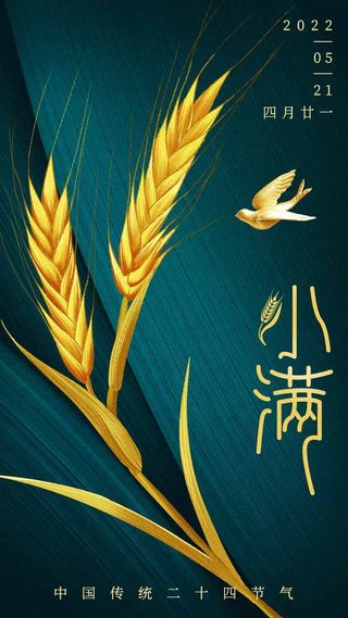 小满 小满促销海报