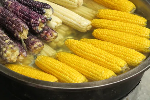 蒸玉米棒子图片 蒸玉米棒子图片