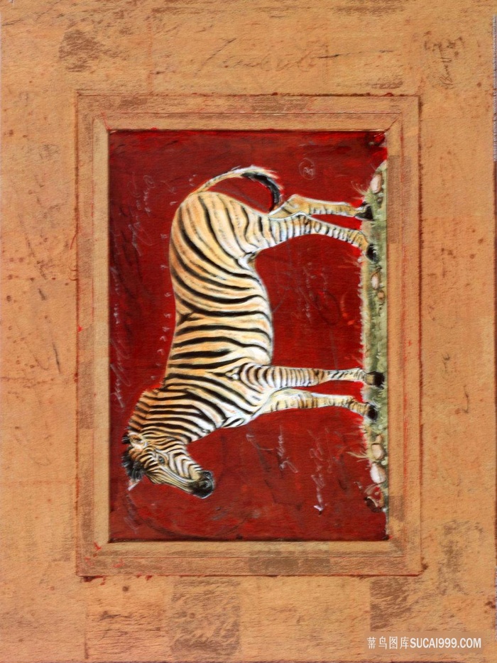 斑马高清艺术插画