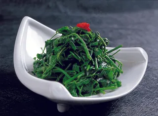 LCSC3314鲜拌花椒芽