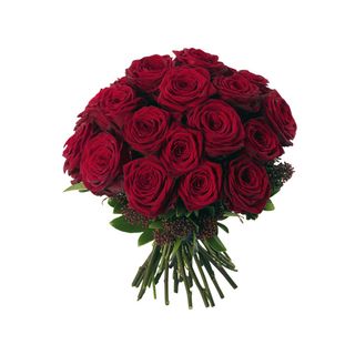 免抠玫瑰花实物摄影图片