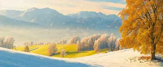 秋天山脉秋叶树木，秋分摄影图