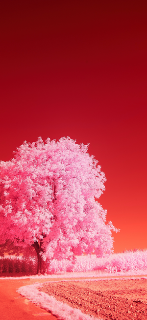 红色庄严海报背景