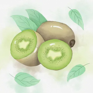 简约创意小清新猕猴桃水彩插画