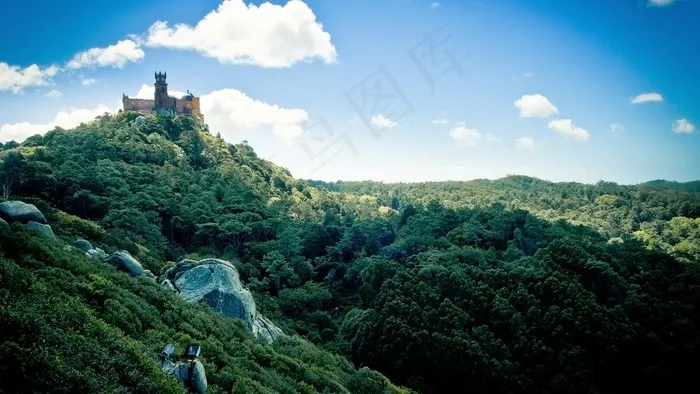 山上树的景观