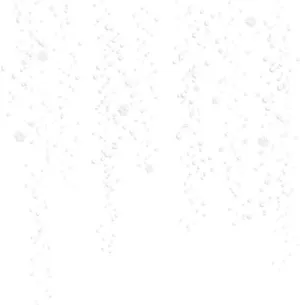 飘落的雪花 PNG免抠