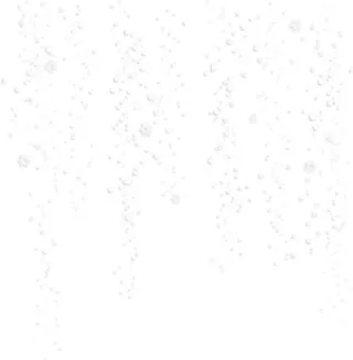 飘落的雪花 PNG免抠
