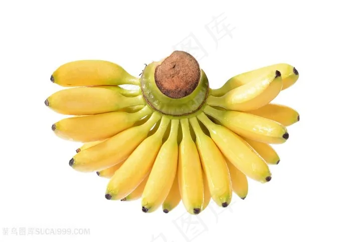 香蕉静物拍摄高清图片