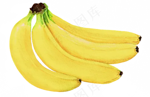 手绘插画-香蕉2