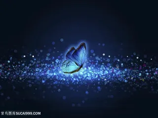 蓝色光晕蝴蝶绚丽炫光昆虫图片