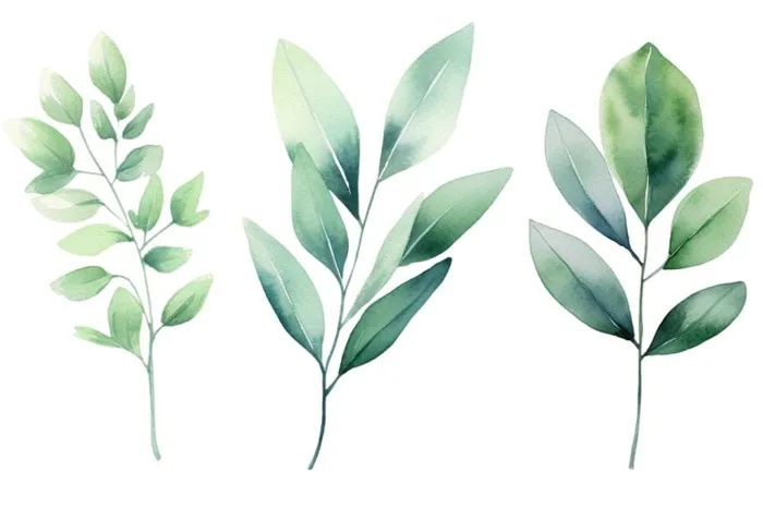 绿叶植物树叶茶壶免抠(1344x896)