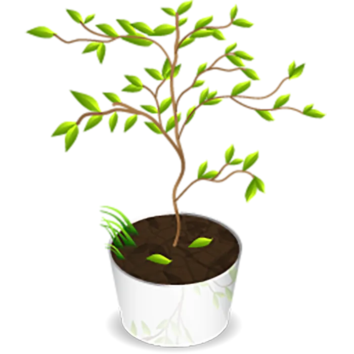 植被绿植卡通