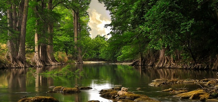 绿树河流湖泊风景