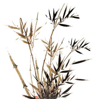 竹子水墨画中国风国画墨水书法竹子画