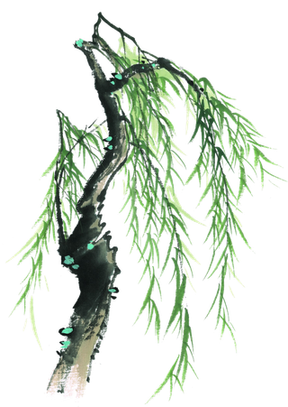 春天绿色春季水墨柳树柳条柳叶春季海报设计PNG免扣素材