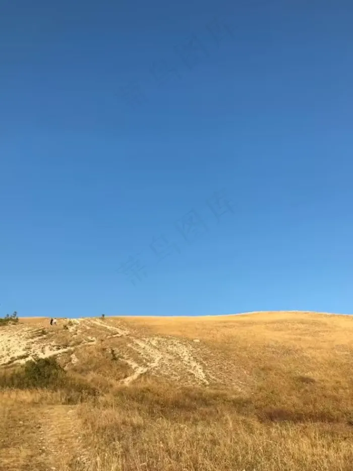 秋意正浓的草地