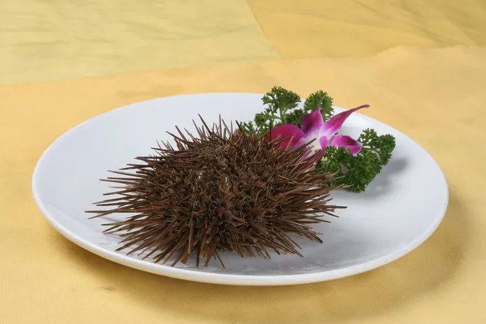 海胆