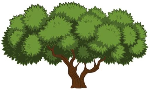 树PNG免抠(600x354)