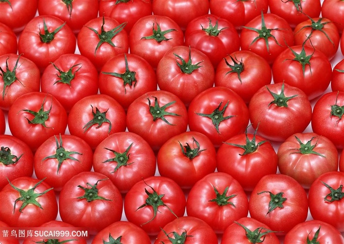 平铺西红柿高清特写