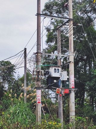 风景图片—电线
