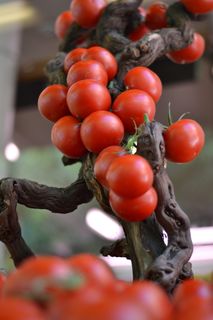 圣女果水果装盘图片