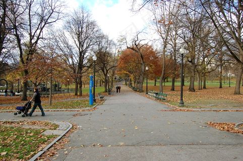 高清秋天的景色图片下载