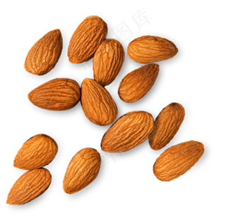 扁口核桃免抠图片